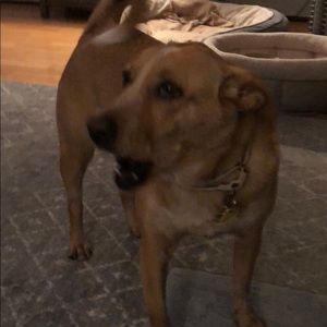 Meet your Posher, Diane